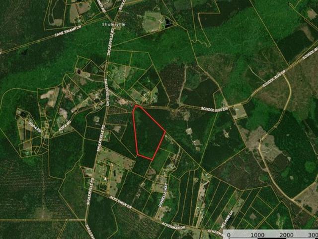 Land for sale in Jamestown, South Carolina