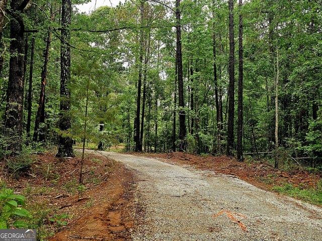 Land for sale in Franklin, Georgia
