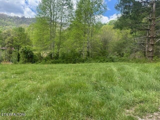 Land for sale in Harlan, Kentucky