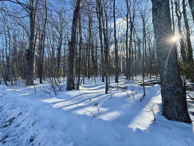 Land for sale in Wabeno, Wisconsin