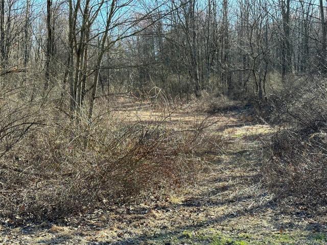 Land for sale in Hyde Park, New York