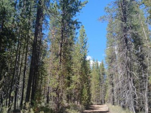 Land for sale in Oregonia