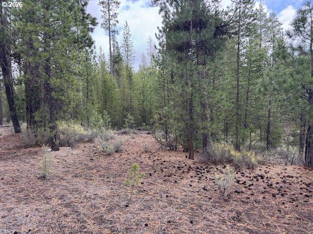 Land for sale in Crescent, Klamath County