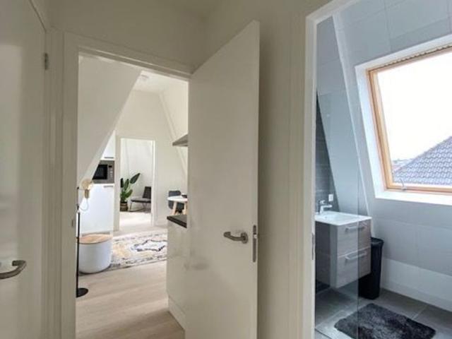 Appartement te huur in Frans Halsbuurt, Haarlem
