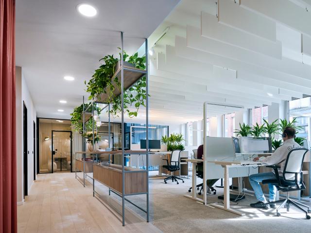 Büro mieten in Neustadt, Hamburg