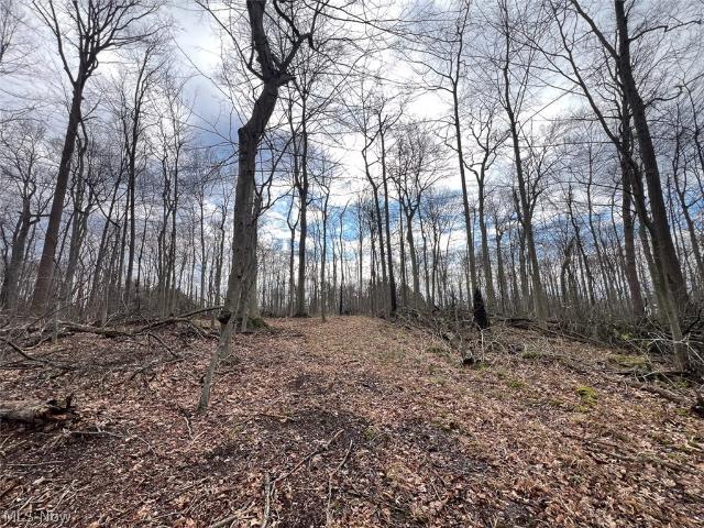 Land for sale in Alliance, Ohio