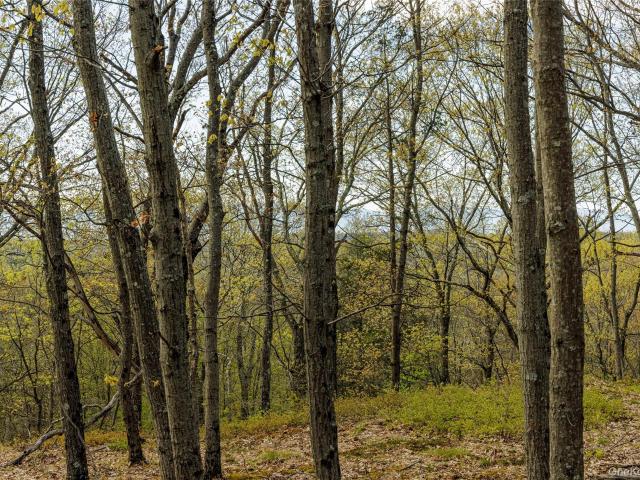 Land for sale in Hyde Park, New York