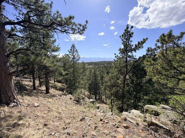 Land for sale in Custer, Colorado