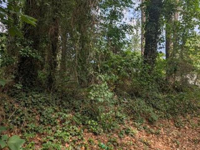 Land for sale in Wicomico, Maryland