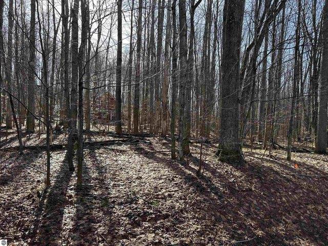 Land for sale in Bellaire, Michigan
