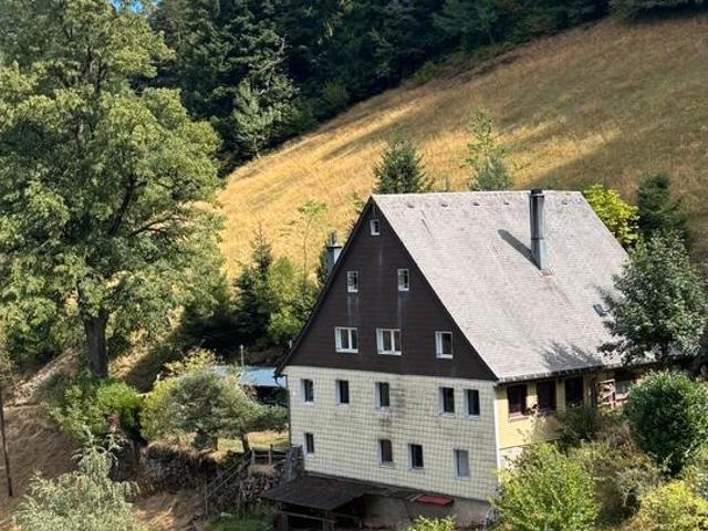 Haus kaufen in Gütenbach, Baden-Württemberg