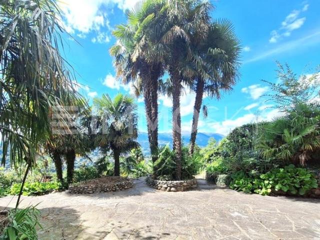 Haus kaufen in Aldesago, Tessin
