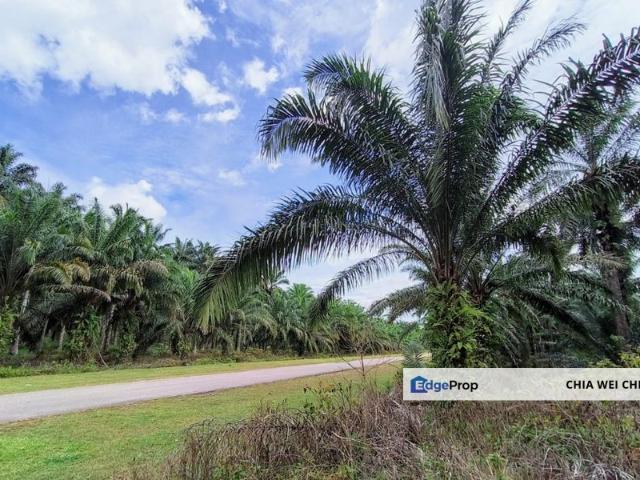 Shop for sale in Kulai, Johor