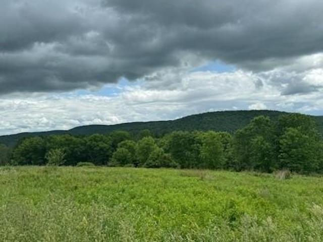 Land for sale in Conklin