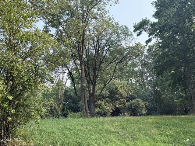 Land for sale in Duanesburg, New York