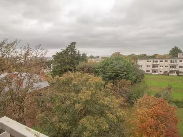 Apartment to rent