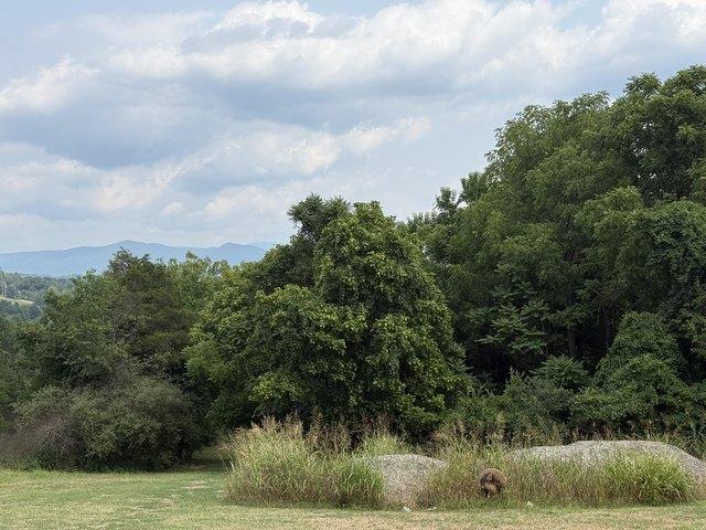 Land for sale in Virginia
