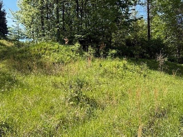 Land for sale in Newcomerstown, Ohio