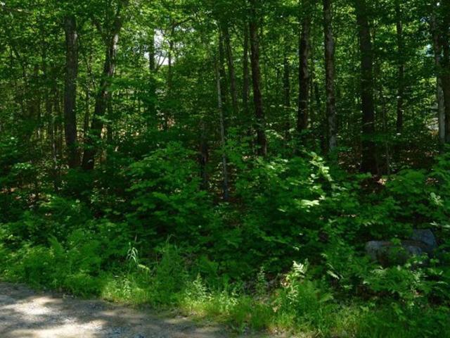 Land for sale in New Hampshire