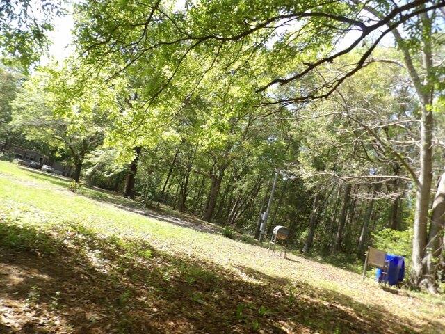 Land for sale in Charleston Land for sale in Charleston