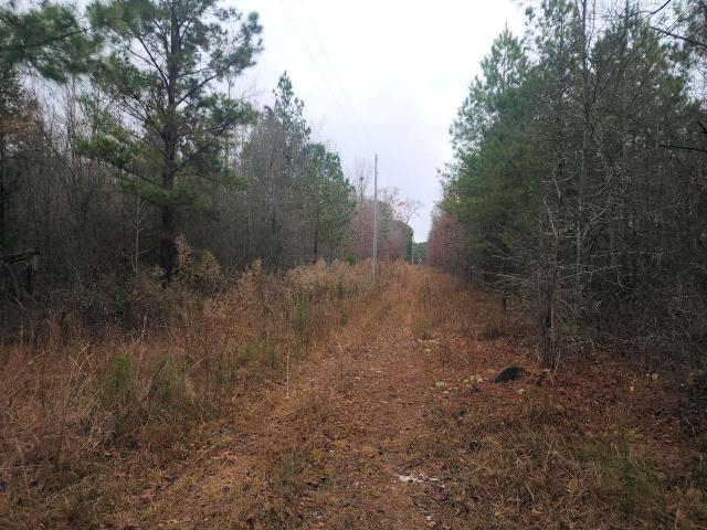 Land for sale in Pelzer, South Carolina