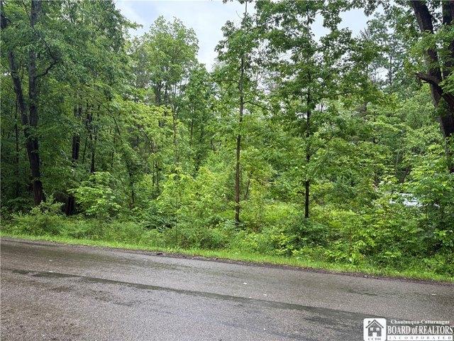 Farm for sale in Frewsburg, New York