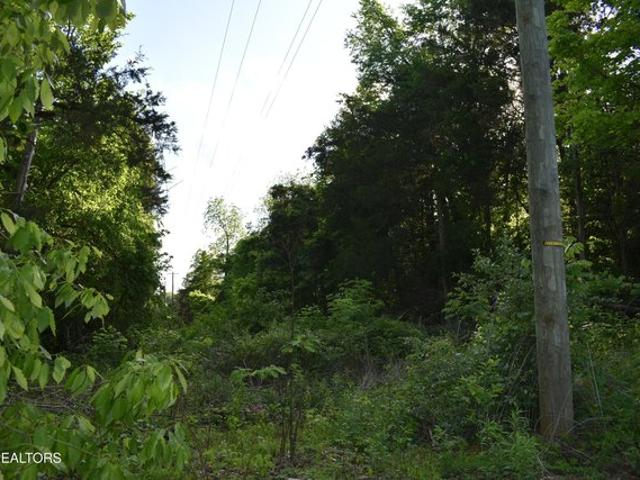 Land for sale in Tennessee
