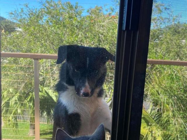Room for rent in New South Wales