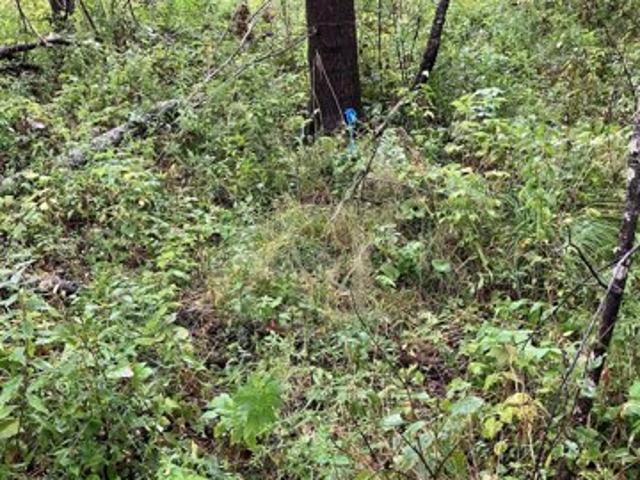Land for sale in East Machias, Maine