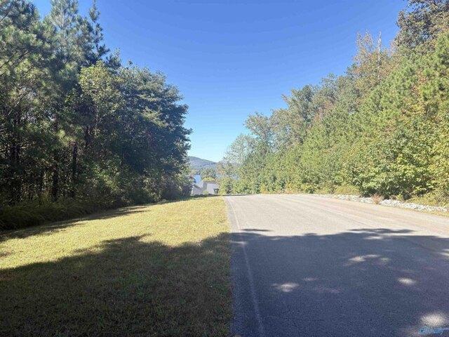 Land for sale in Scottsboro, Alabama