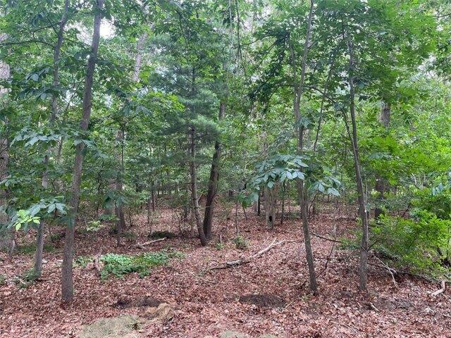 Land for sale in Ridge