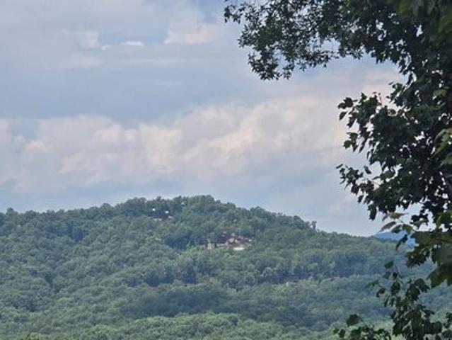 Land for sale in Morganton, Georgia