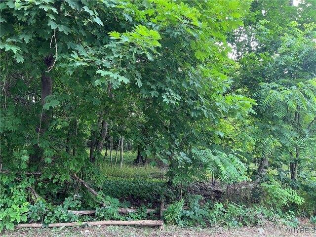 Land for sale in Lockport
