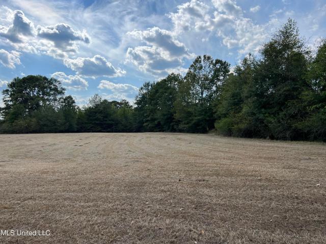 Land for sale in Polkville, Smith County