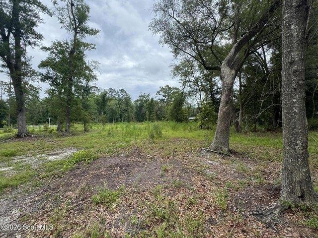 Land for sale in Pierce, Georgia