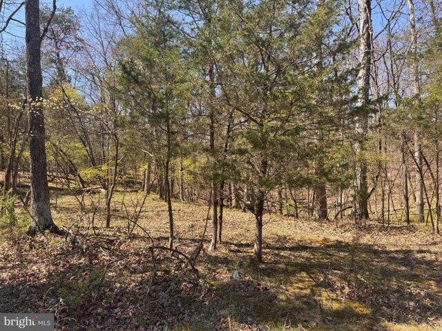 Land for sale in Shepherdstown