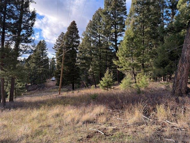 Land for sale in Granite, Montana