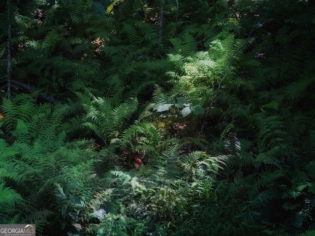 Land for sale in Clayton, Georgia