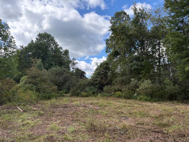 Land for sale in Conneaut, Ashtabula County