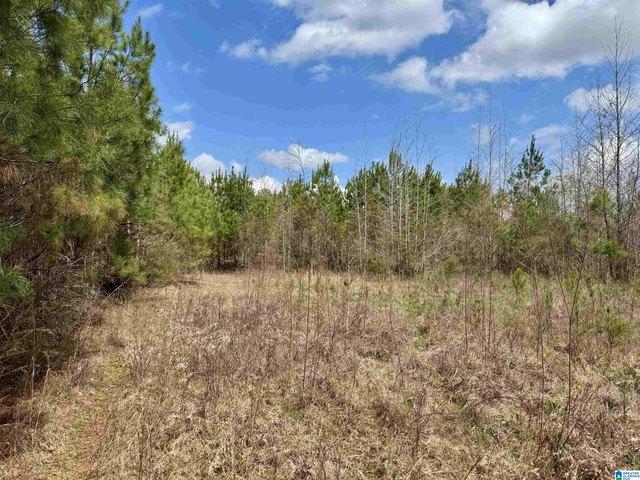 Land for sale in Elmore, Alabama
