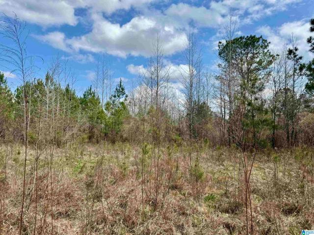 Land for sale in Elmore, Alabama