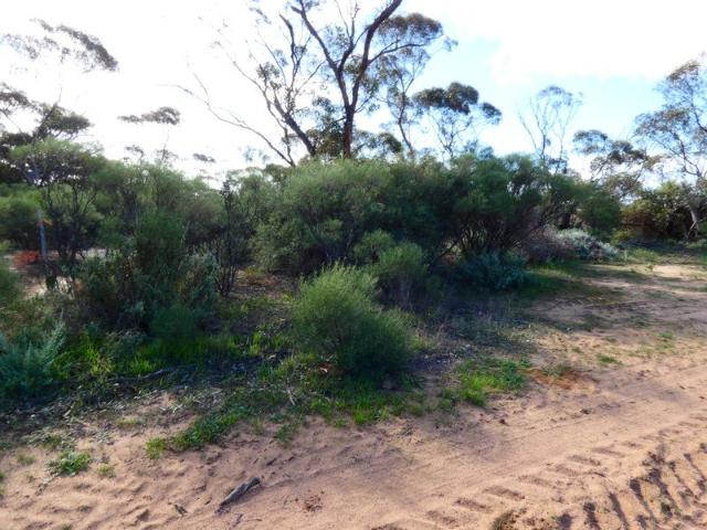 Land for sale in Lascelles, Victoria