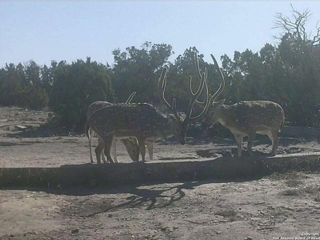 Farm for sale in Edwards, Texas