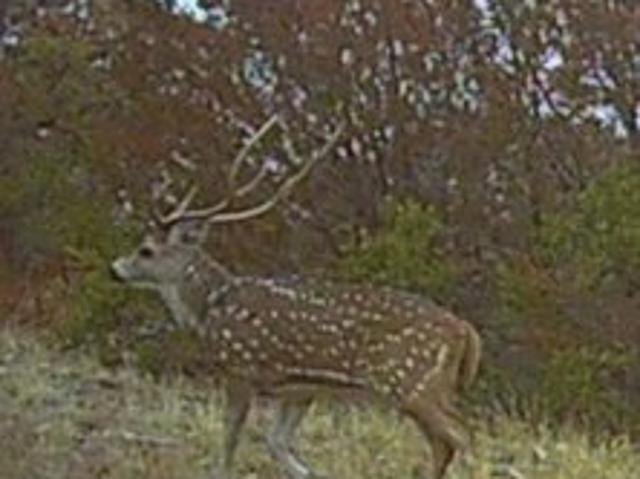 Land for sale in Edwards, Texas
