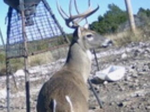 Land for sale in Edwards, Texas