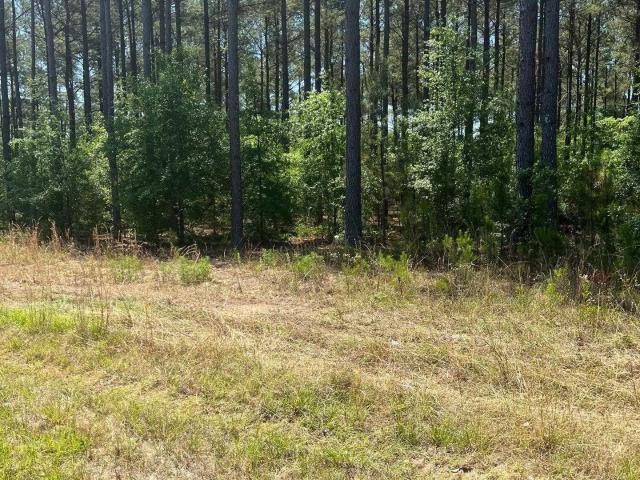 Land for sale in Aiken, South Carolina