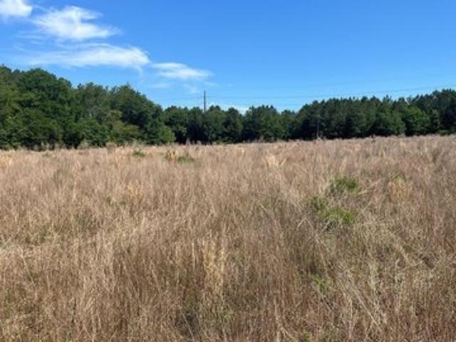 Land for sale in Aiken, South Carolina