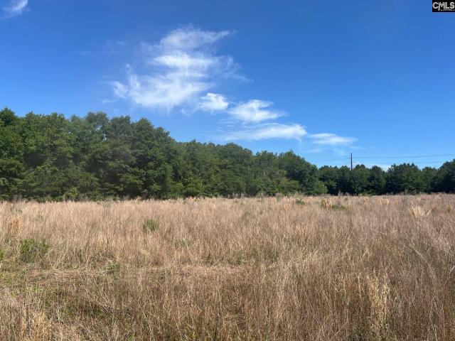 Land for sale in Aiken, South Carolina