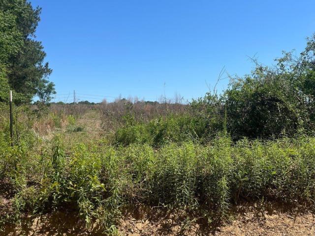 Land for sale in Aiken, South Carolina