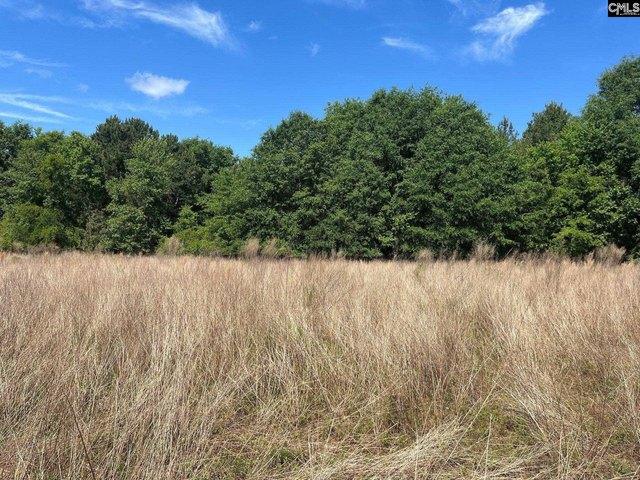 Land for sale in Aiken, South Carolina